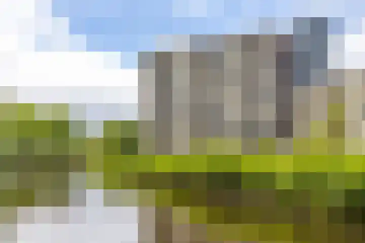 Zuiderkruis 290 Veenendaal thumbnail 28