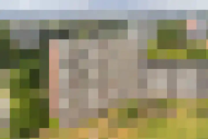 Zuiderkruis 290 Veenendaal thumbnail 30