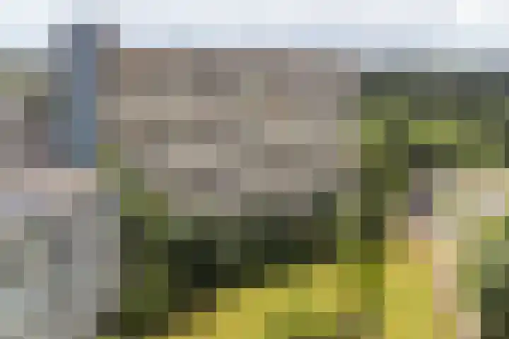 Zuiderkruis 290 Veenendaal thumbnail 31