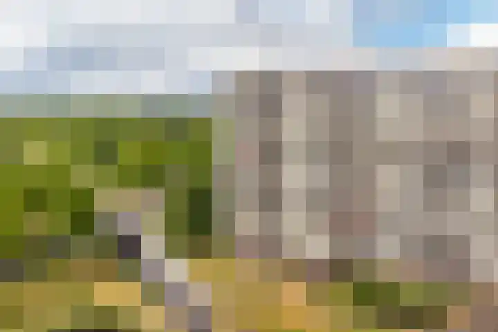 Zuiderkruis 290 Veenendaal thumbnail 32