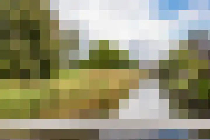 Zuiderkruis 290 Veenendaal thumbnail 33