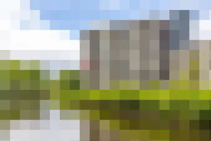 Zuiderkruis 290 Veenendaal thumbnail 36