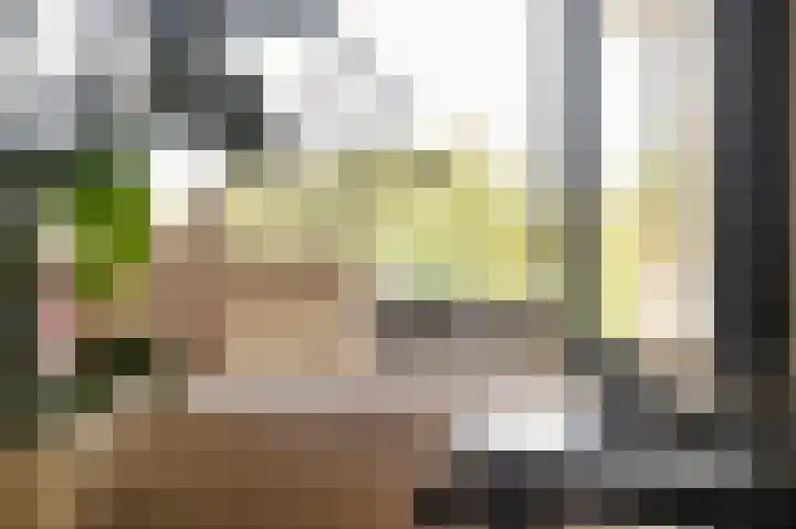 Zuiderkruis 290 Veenendaal thumbnail 4