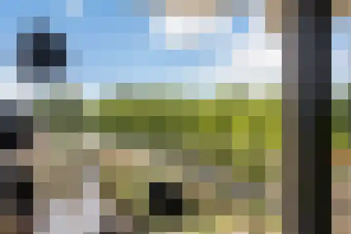 Zuiderkruis 290 Veenendaal thumbnail 6