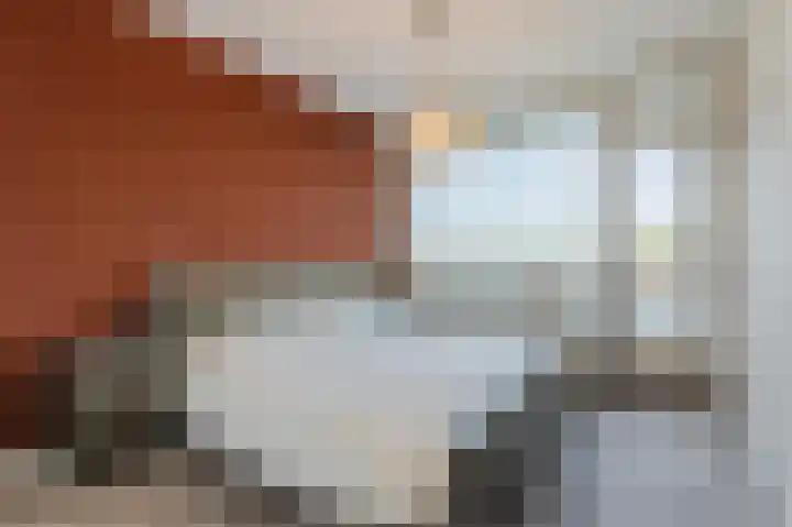 Zuiderkruis 292 Veenendaal thumbnail 17