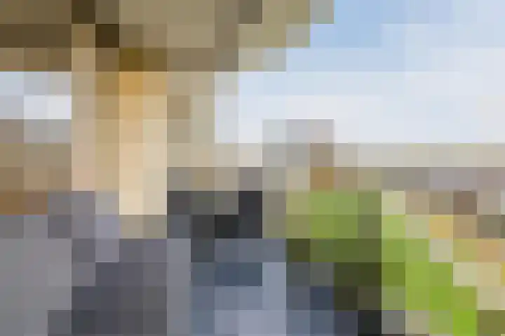Zuiderkruis 292 Veenendaal thumbnail 24