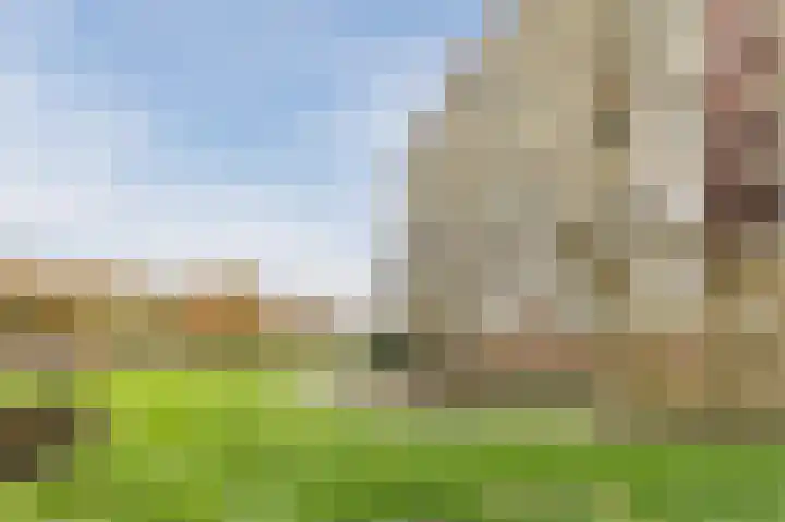 Zuiderkruis 292 Veenendaal thumbnail 28
