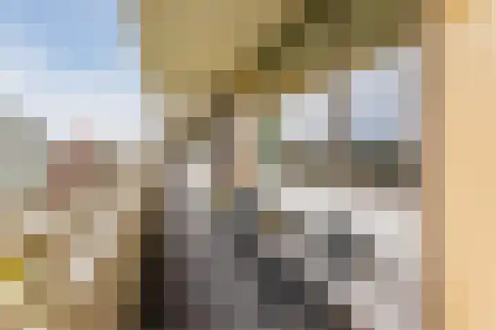 Zuiderkruis 292 Veenendaal thumbnail 32