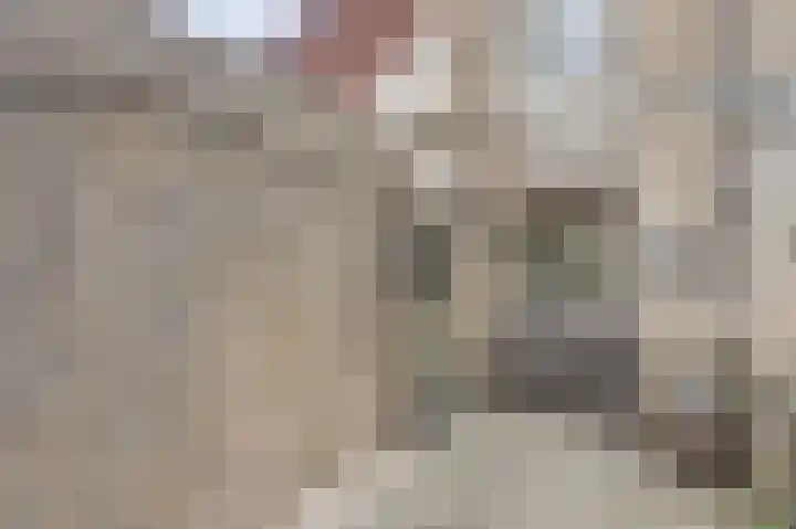 Zuiderkruis 30 Katwijk thumbnail 8