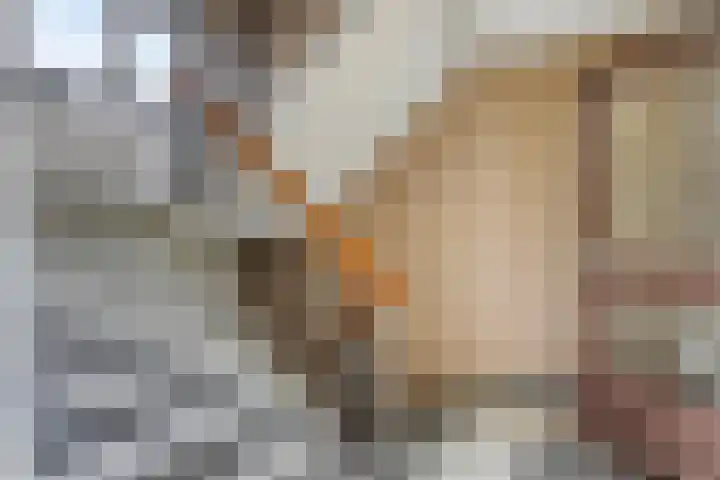Zuiderkruis 310 Veenendaal thumbnail 12