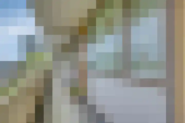 Zuiderkruis 310 Veenendaal thumbnail 13