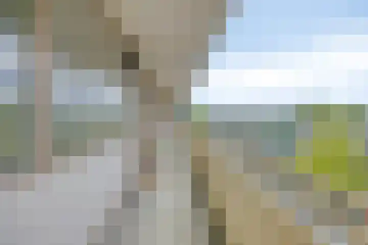 Zuiderkruis 310 Veenendaal thumbnail 14