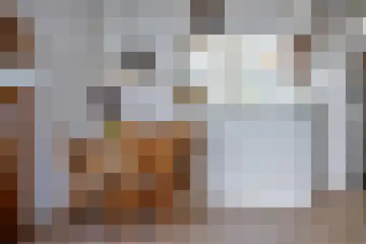 Zuiderkruis 310 Veenendaal thumbnail 20