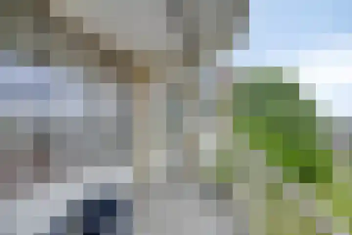 Zuiderkruis 310 Veenendaal thumbnail 33