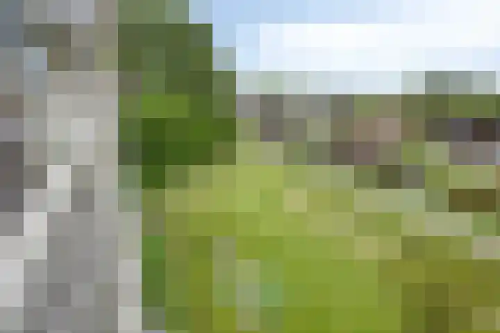 Zuiderkruis 310 Veenendaal thumbnail 34