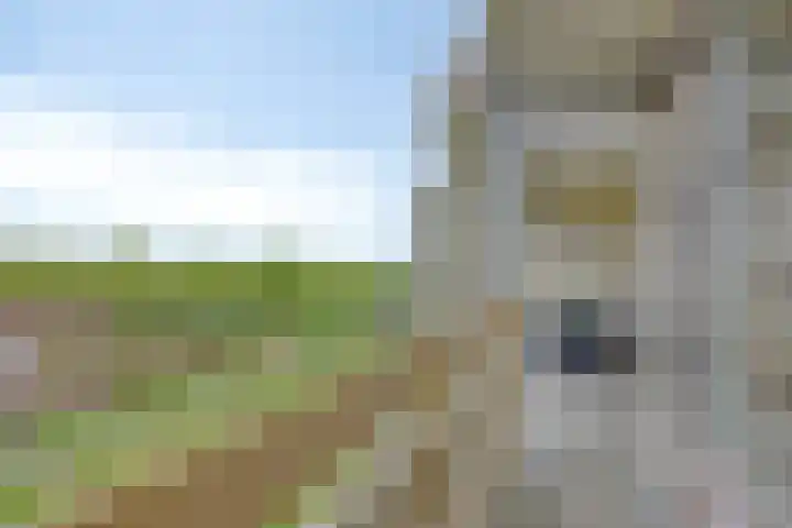 Zuiderkruis 310 Veenendaal thumbnail 35