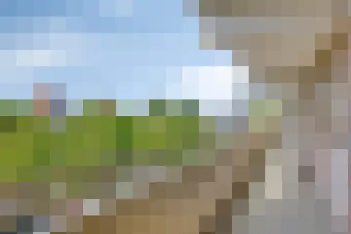 Zuiderkruis 310 Veenendaal thumbnail 38