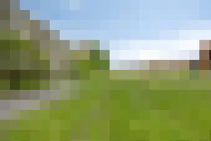Zuiderkruis 310 Veenendaal thumbnail 40