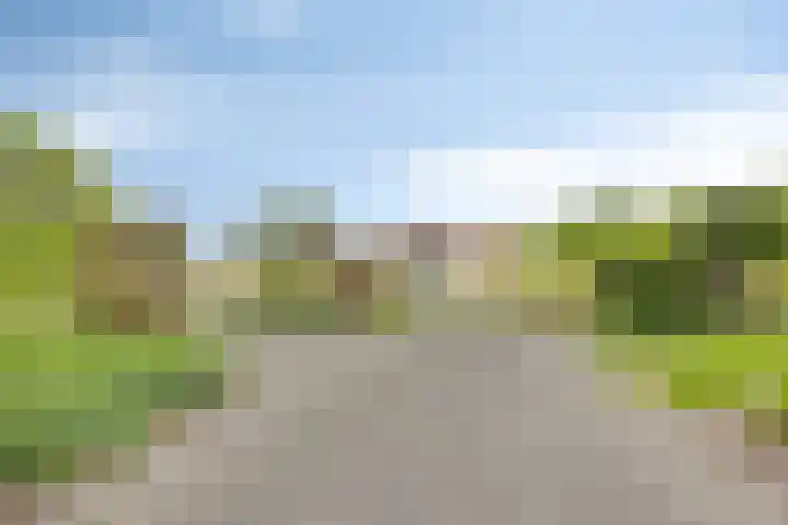 Zuiderkruis 310 Veenendaal thumbnail 41