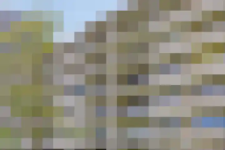Zuiderkruis 310 Veenendaal thumbnail 42