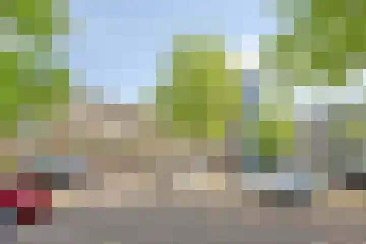 Zuiderkruis 310 Veenendaal thumbnail 6