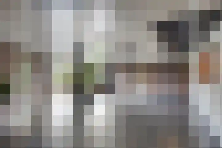 Zuiderkruis 310 Veenendaal thumbnail 9