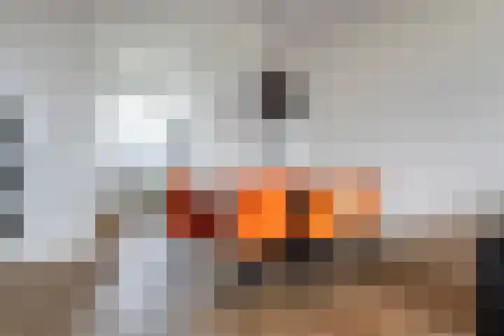 Zuiderkruis 328 Veenendaal thumbnail 10