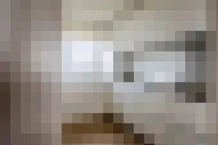 Zuiderkruis 328 Veenendaal thumbnail 12