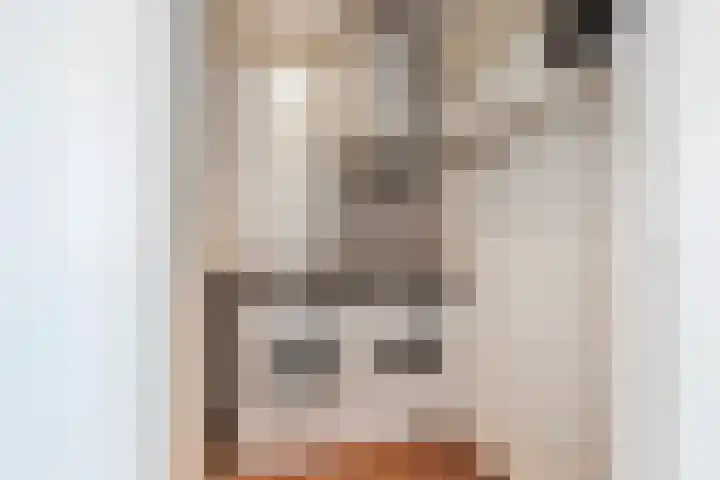Zuiderkruis 328 Veenendaal thumbnail 22