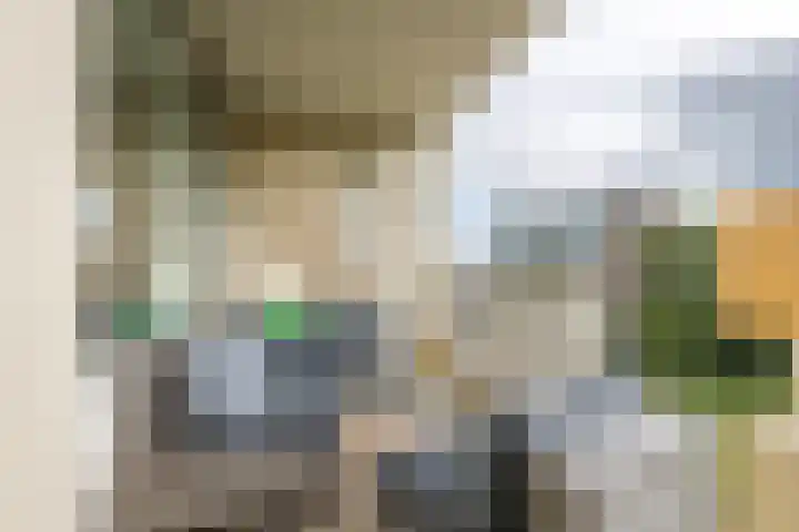 Zuiderkruis 328 Veenendaal thumbnail 26