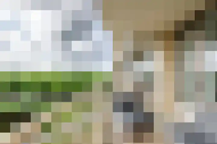 Zuiderkruis 328 Veenendaal thumbnail 27