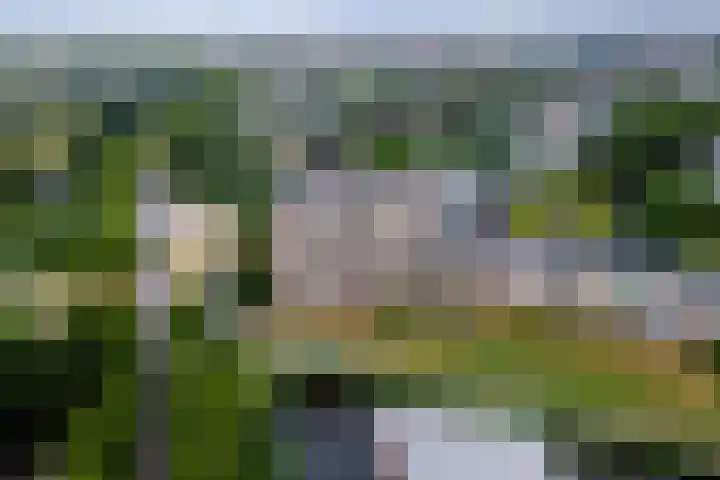 Zuiderkruis 328 Veenendaal thumbnail 29