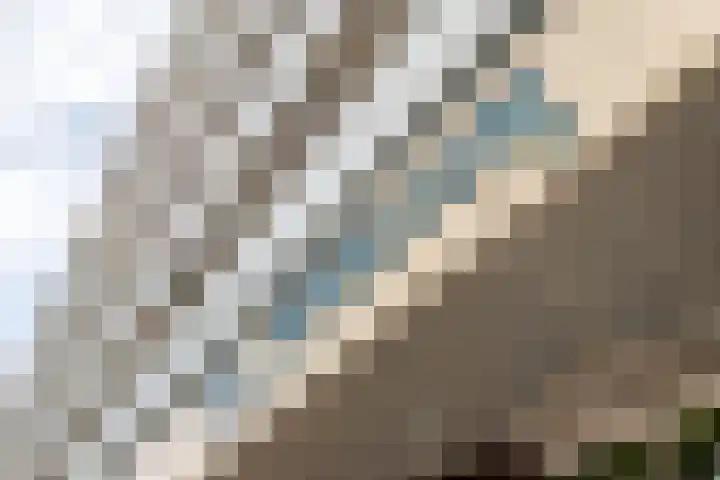 Zuiderkruis 328 Veenendaal thumbnail 4