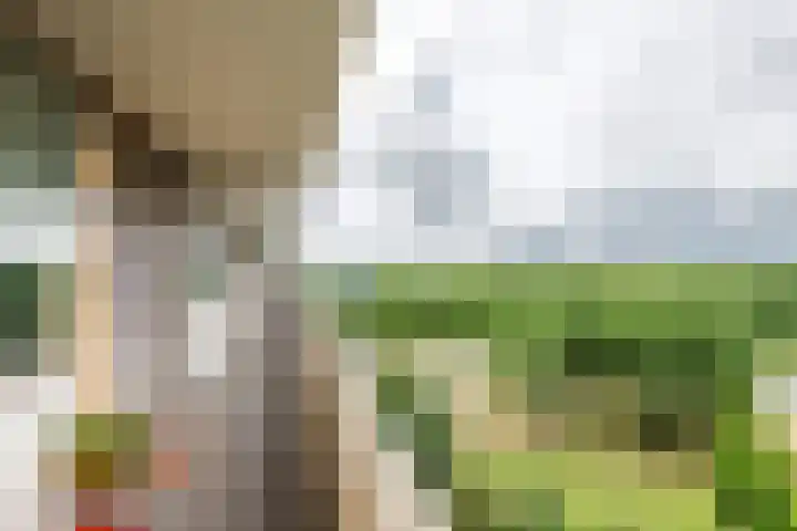 Zuiderkruis 328 Veenendaal thumbnail 5