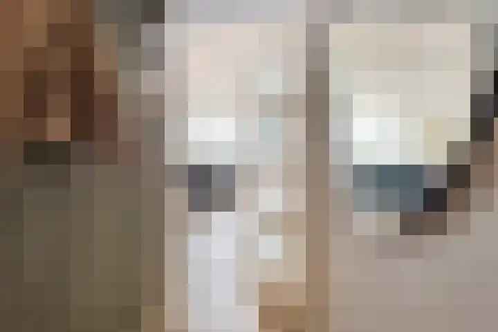Zuiderkruis 328 Veenendaal thumbnail 6