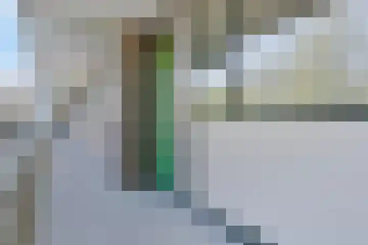 Zuiderkruis 34 Veenendaal thumbnail 10