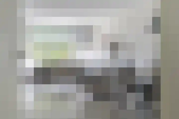 Zuiderkruis 34 Veenendaal thumbnail 12