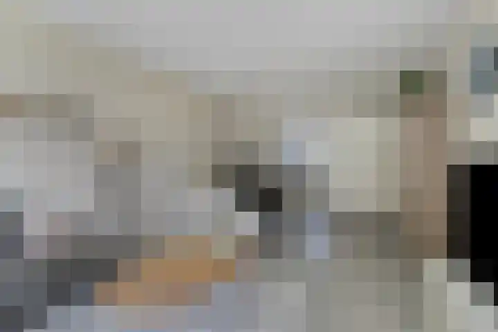 Zuiderkruis 34 Veenendaal thumbnail 16