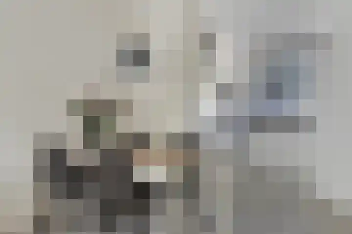 Zuiderkruis 34 Veenendaal thumbnail 18