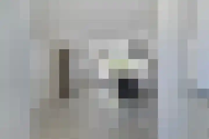 Zuiderkruis 34 Veenendaal thumbnail 21