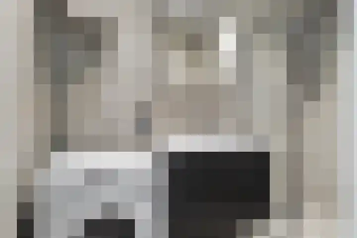 Zuiderkruis 34 Veenendaal thumbnail 28