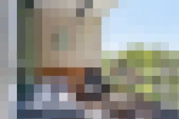 Zuiderkruis 34 Veenendaal thumbnail 33