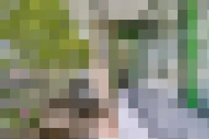 Zuiderkruis 34 Veenendaal thumbnail 34