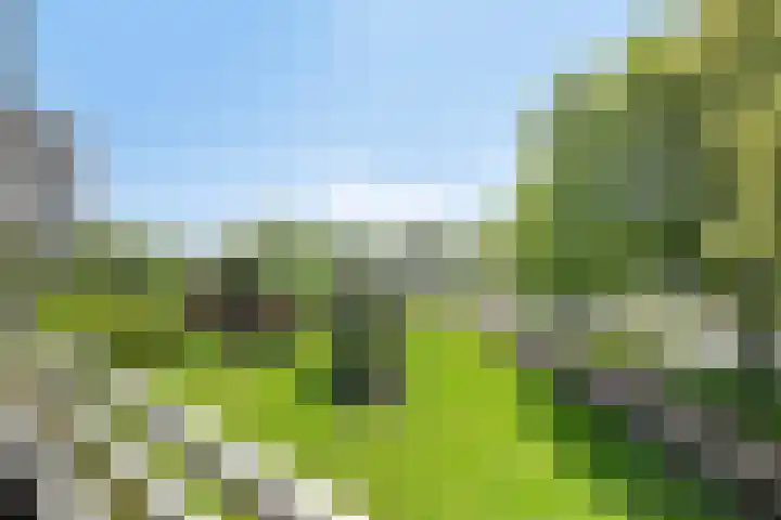 Zuiderkruis 34 Veenendaal thumbnail 35