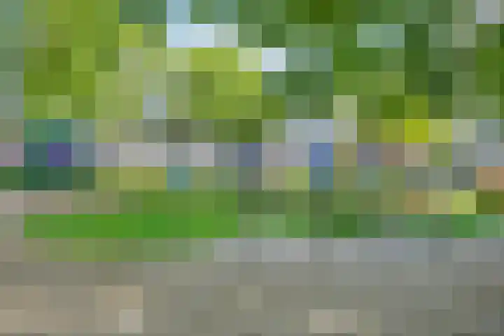 Zuiderkruis 34 Veenendaal thumbnail 36