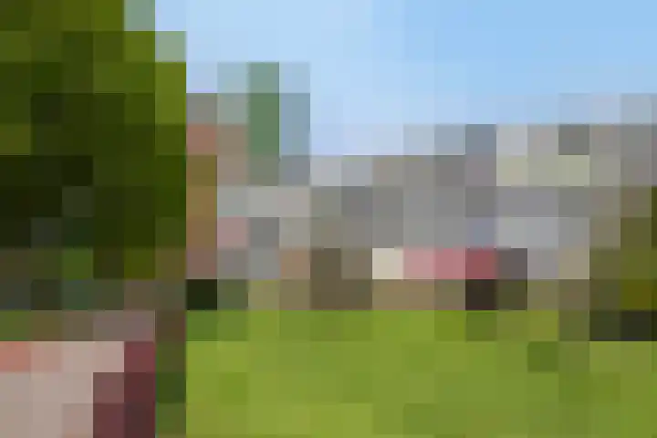 Zuiderkruis 34 Veenendaal thumbnail 39