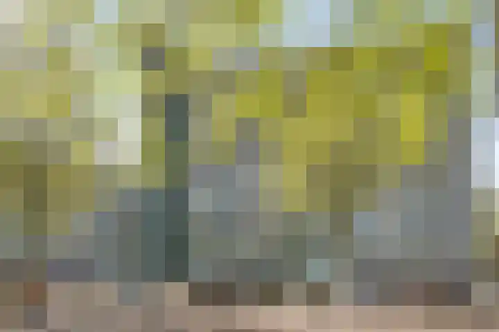 Zuiderkruis 34 Veenendaal thumbnail 4