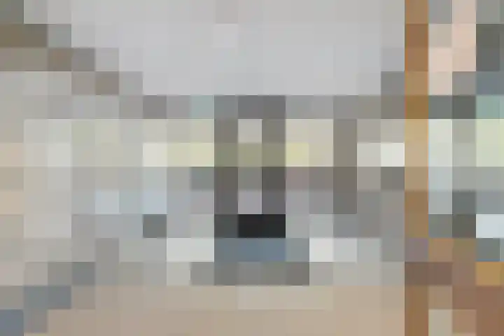 Zuiderkruis 34 Veenendaal thumbnail 6
