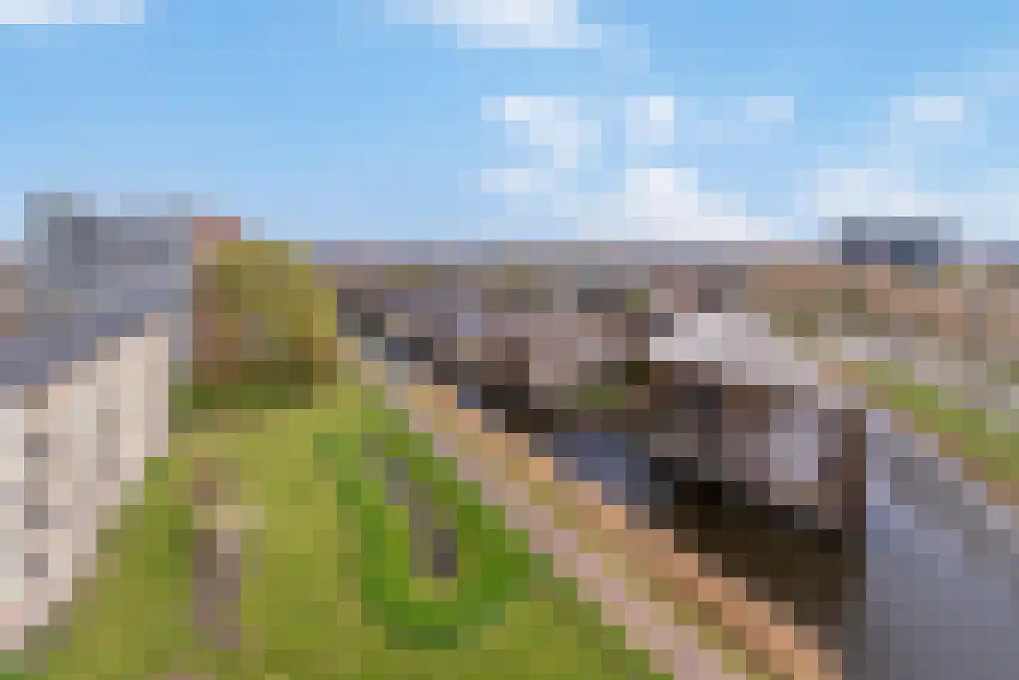 Zuiderkruis 362 Veenendaal thumbnail 4