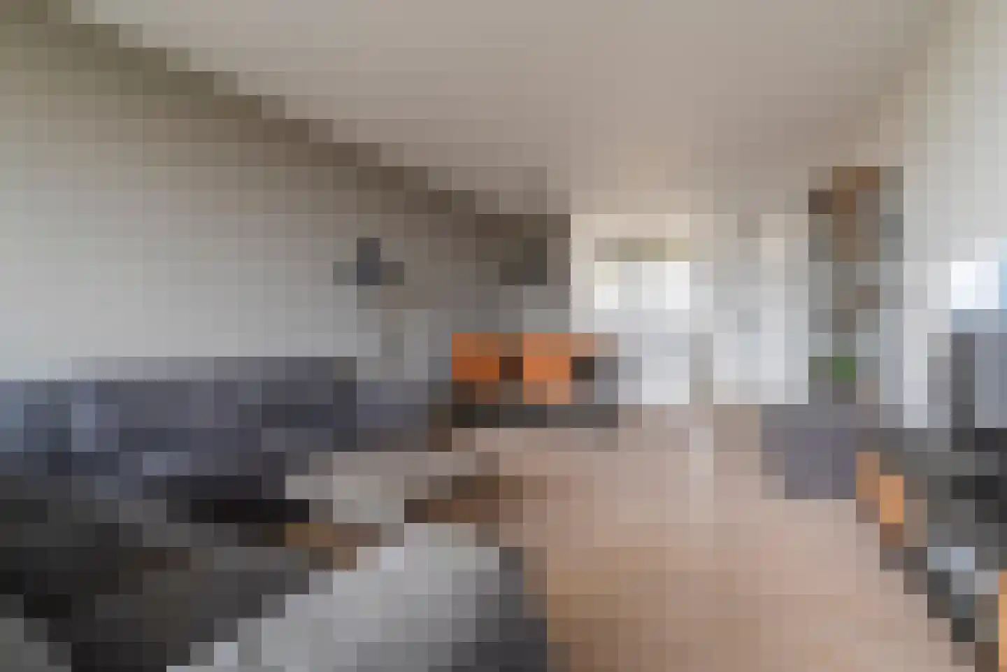 Zuiderkruis 362 Veenendaal thumbnail 7